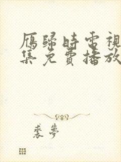 雁归时电视剧全集免费播放在线观看封面