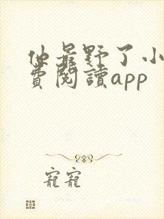 他最野了小说免费阅读app封面