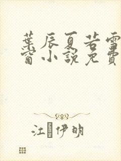 叶辰夏若雪无弹窗小说免费