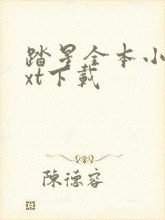 踏星全本小说txt下载