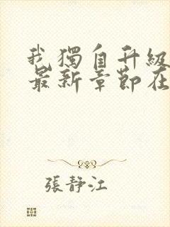 我独自升级小说最新章节在线阅读