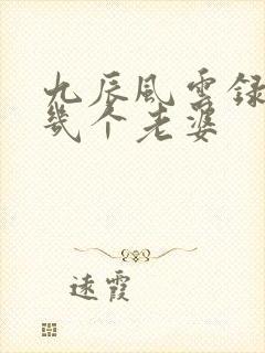 九辰风云录男主几个老婆