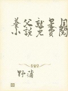 养父就是用来的小说免费阅读封面