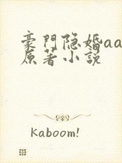 豪门隐婚aa制原著小说