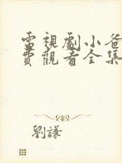 电视剧小爸爸免费观看全集国语版