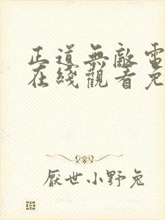 正道无敌电视剧在线观看免费