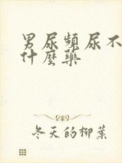 男尿频尿不尽吃什么药