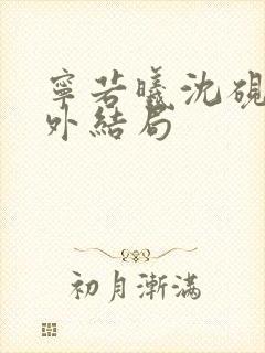 宁若曦沈砚舟番外结局