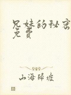 兄妹的秘密授课免费