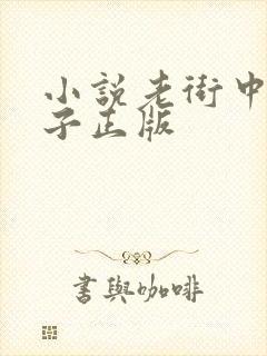 小说老街中的痞子正版