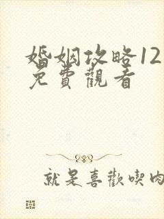 婚姻攻略12集免费观看