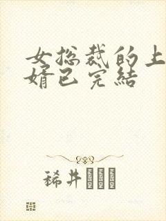 女总裁的上门女婿已完结