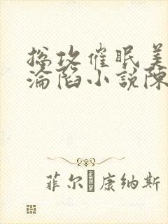 总攻催眠美人的沦陷小说陈楚敬封面