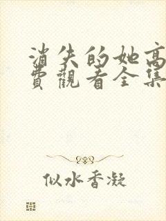 消失的她高清免费观看全集电视剧