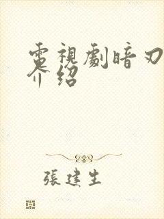 电视剧暗刃剧情介绍