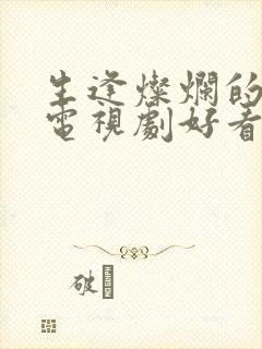 生逢灿烂的日子电视剧好看吗