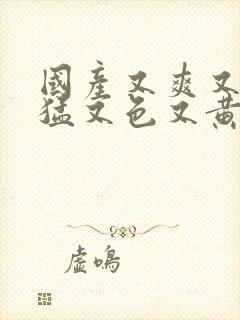 国产又爽又粗又猛又色又黄网站.