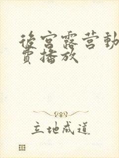 后宫露营动漫免费播放封面