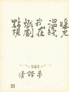 点燃我温暖你电视剧在线免费观看高清