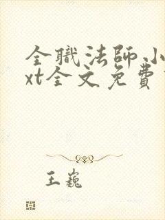 全职法师小说txt全文免费下载