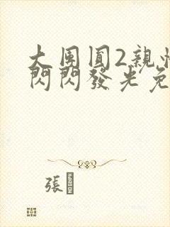 大团圆2亲情会闪闪发光免费