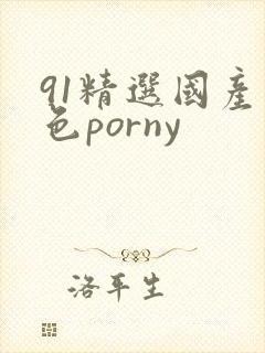 91精选国产九色porny