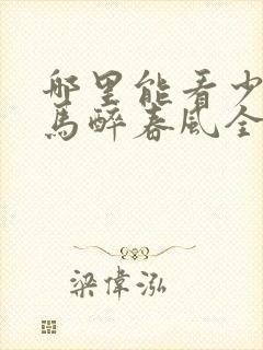 哪里能看少年白马醉春风全集封面