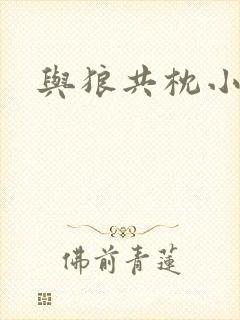 与狼共枕小说封面