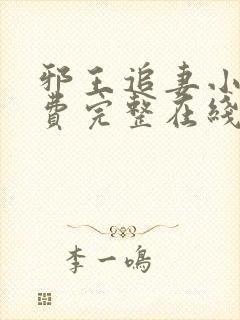 邪王追妻小说免费完整在线阅读