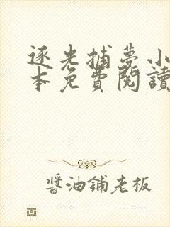 逐光捕梦小说全本免费阅读