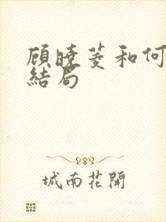 顾晓菱和何睦大结局