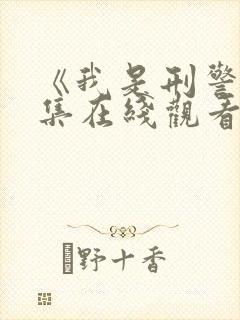 《我是刑警》全集在线观看电视剧