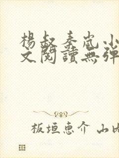 杨叔秦岚小说全文阅读无弹窗