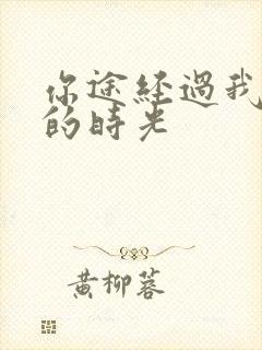 你途经过我倾城的时光