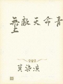 无敌天命青鸾峰上