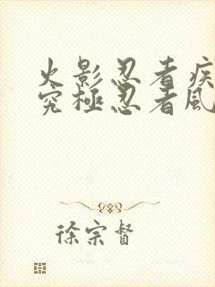 火影忍者疾风传究极忍者风暴4修改器封面