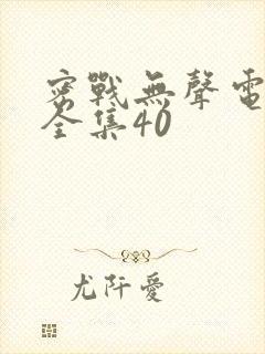 密战无声电视剧全集40