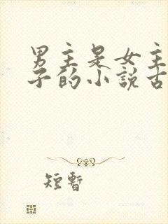 男主是女主小叔子的小说古文