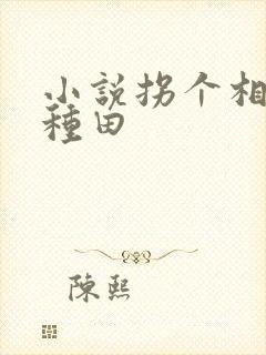 小说拐个相公来种田