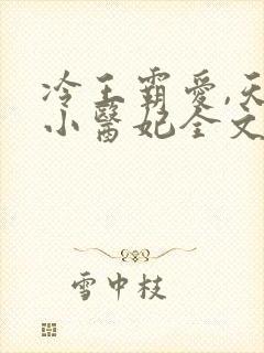 冷王霸爱,天才小医妃全文免费阅读