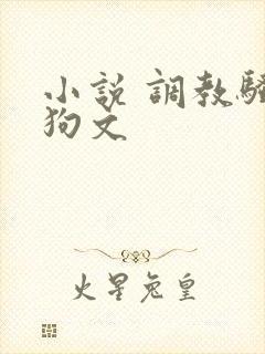 小说 调教骚母狗文