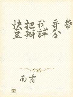 快把我哥带走 豆瓣评分封面