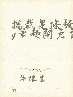 总裁是条骚狗by笔趣阁免费阅读全文最