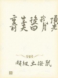 重生后我顶替了前夫白月光许知意裴珩于一凡封面