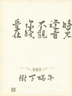 爱你不逢时短剧在线观看免费全集