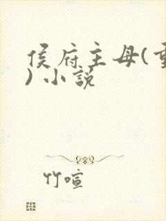 侯府主母(重生) 小说