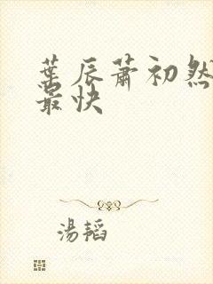 叶辰萧初然更新最快封面