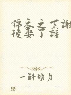 锦衣之下谢霄最后娶了谁封面