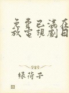 免费已满在线播放电视剧日剧全集