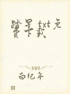 踏星 txt免费下载